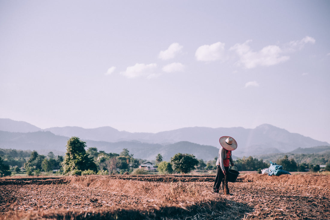 Why Sustainable Shopping Matters: A Guide for Conscious Consumers
