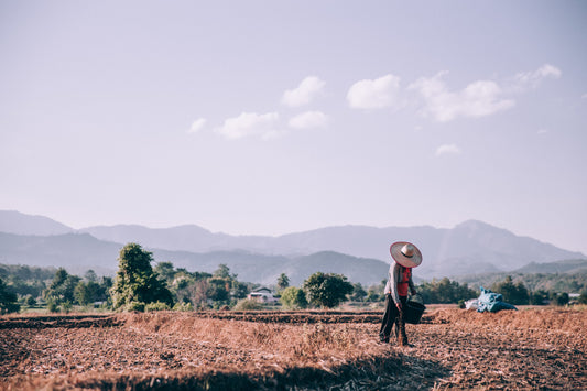 Why Sustainable Shopping Matters: A Guide for Conscious Consumers